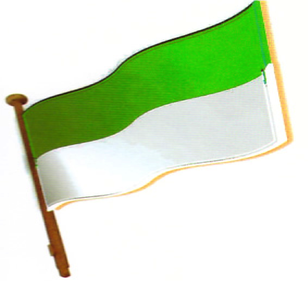 Bandera institucional